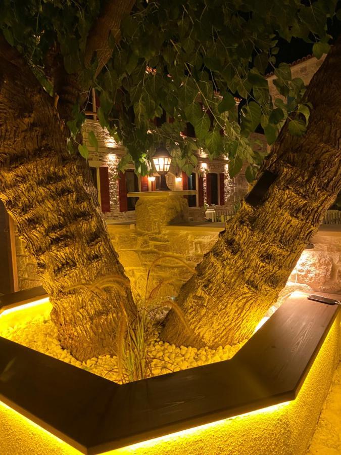 Dionysos 1789 Boutique Hotel 福卡 外观 照片